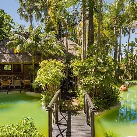 Grand Mansion With Tropical Park * マルベーリャ