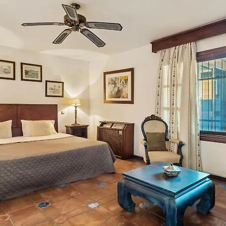 Grand Mansion With Tropical Park * マルベーリャ