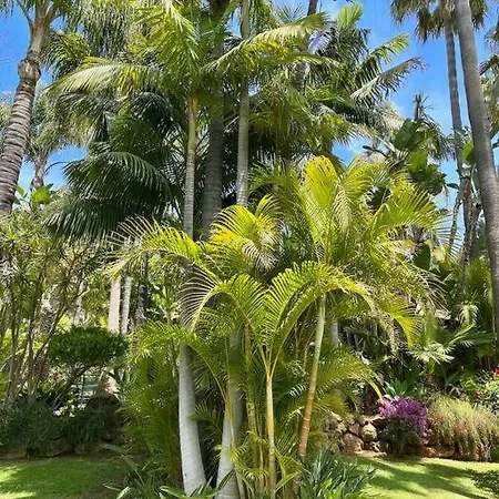 Grand Estate With Tropical Gardens *