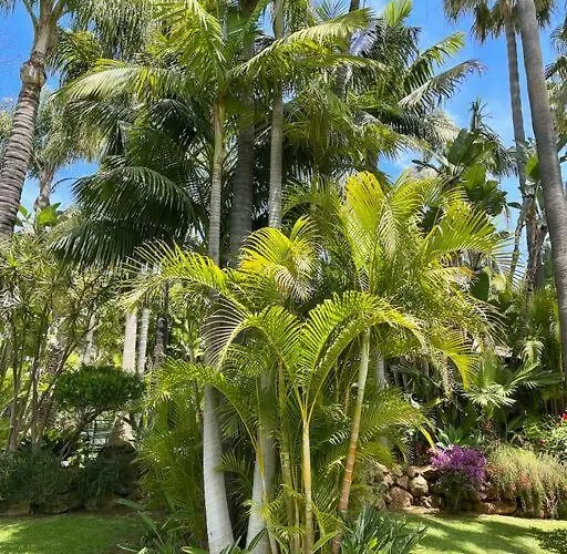 Grand Estate With Tropical Gardens *