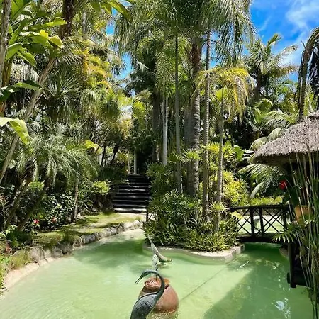 Grand Estate With Tropical Gardens וילה *