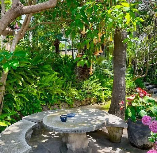 Grand Estate With Tropical Gardens *